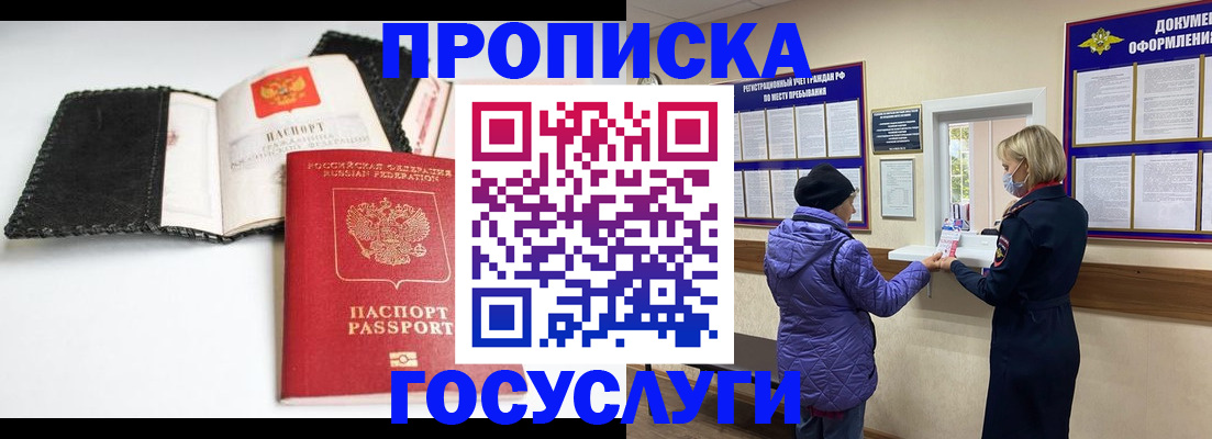 прописка штамп в Гатчине